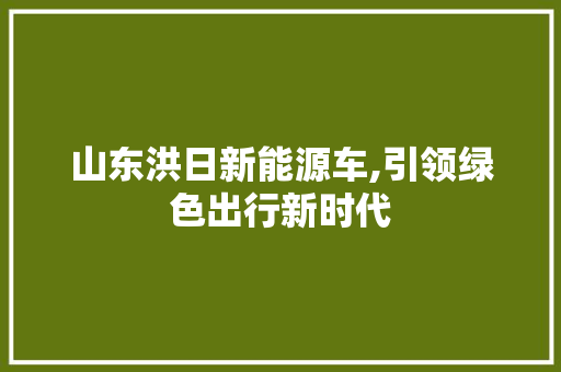 山东洪日新能源车,引领绿色出行新时代