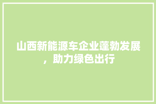 山西新能源车企业蓬勃发展，助力绿色出行