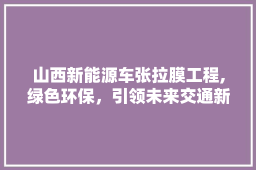 山西新能源车张拉膜工程,绿色环保，引领未来交通新风尚