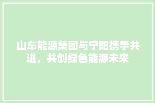 山车能源集团与宁阳携手共进，共创绿色能源未来