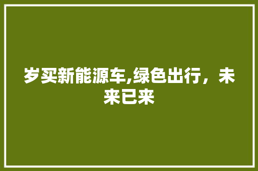 岁买新能源车,绿色出行，未来已来
