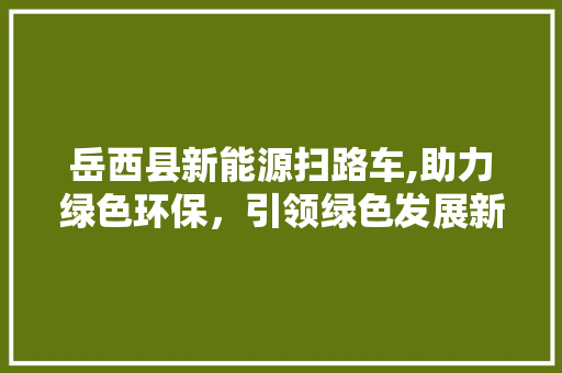 岳西县新能源扫路车,助力绿色环保，引领绿色发展新潮流
