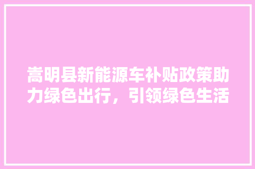 嵩明县新能源车补贴政策助力绿色出行，引领绿色生活新风尚