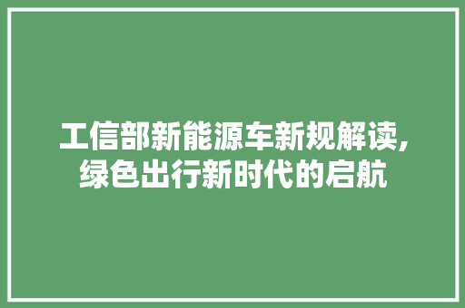 工信部新能源车新规解读,绿色出行新时代的启航