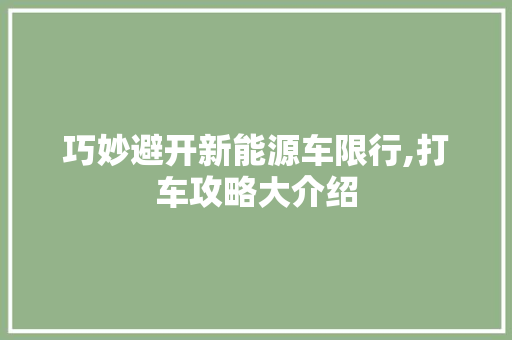 巧妙避开新能源车限行,打车攻略大介绍