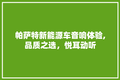 帕萨特新能源车音响体验,品质之选，悦耳动听