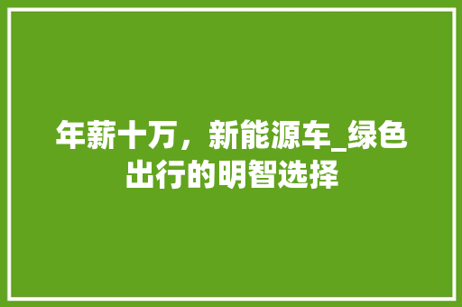 年薪十万，新能源车_绿色出行的明智选择 车身配件