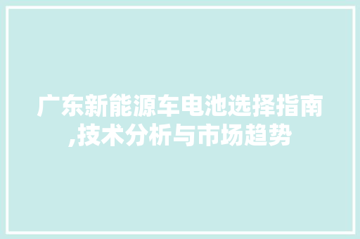 广东新能源车电池选择指南,技术分析与市场趋势