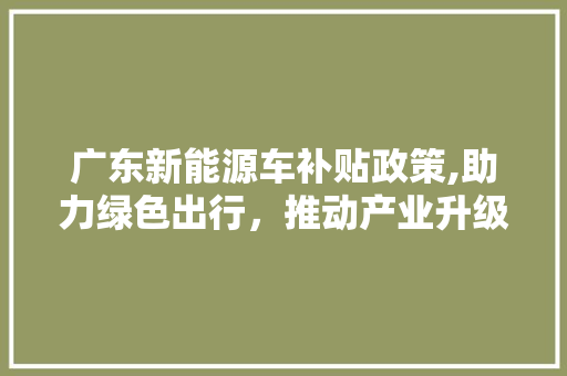 广东新能源车补贴政策,助力绿色出行，推动产业升级