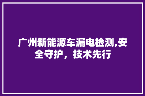 广州新能源车漏电检测,安全守护，技术先行