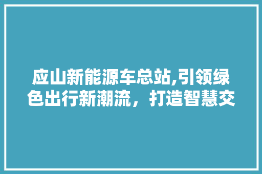 应山新能源车总站,引领绿色出行新潮流，打造智慧交通新标杆