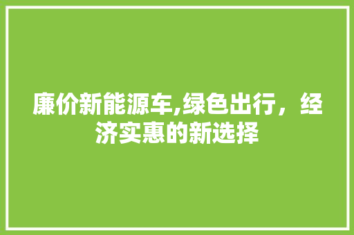 廉价新能源车,绿色出行，经济实惠的新选择