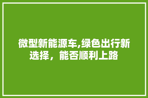 微型新能源车,绿色出行新选择，能否顺利上路