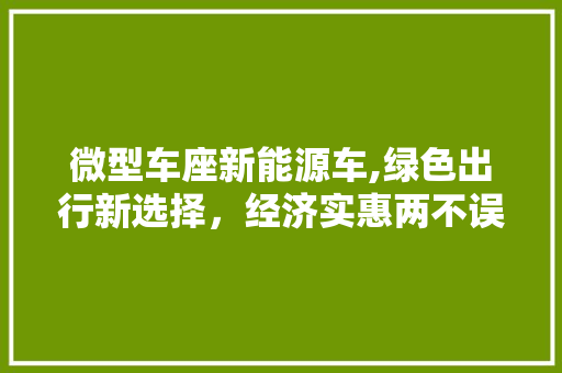微型车座新能源车,绿色出行新选择，经济实惠两不误