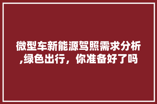微型车新能源驾照需求分析,绿色出行，你准备好了吗
