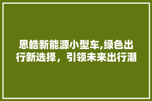 思皓新能源小型车,绿色出行新选择，引领未来出行潮流