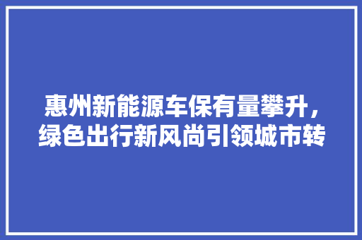 惠州新能源车保有量攀升，绿色出行新风尚引领城市转型