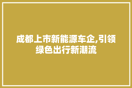 成都上市新能源车企,引领绿色出行新潮流
