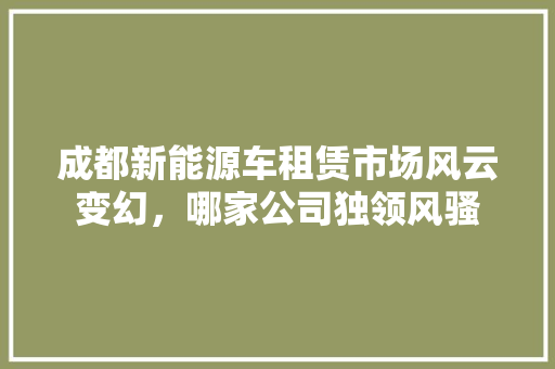 成都新能源车租赁市场风云变幻，哪家公司独领风骚