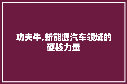 功夫牛,新能源汽车领域的硬核力量