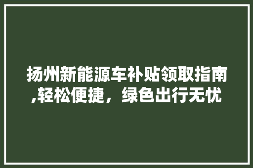 扬州新能源车补贴领取指南,轻松便捷，绿色出行无忧