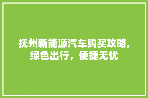 抚州新能源汽车购买攻略,绿色出行，便捷无忧