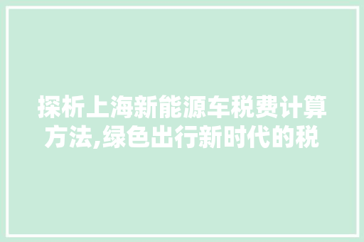 探析上海新能源车税费计算方法,绿色出行新时代的税务智慧