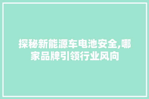 探秘新能源车电池安全,哪家品牌引领行业风向