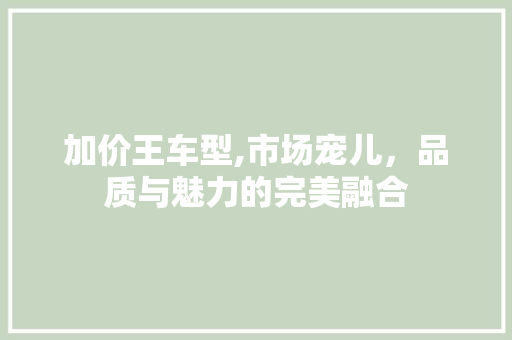 加价王车型,市场宠儿，品质与魅力的完美融合