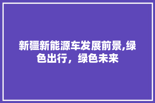 新疆新能源车发展前景,绿色出行，绿色未来
