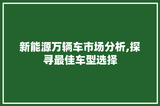 新能源万辆车市场分析,探寻最佳车型选择