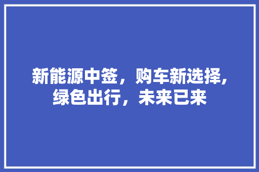 新能源中签，购车新选择,绿色出行，未来已来
