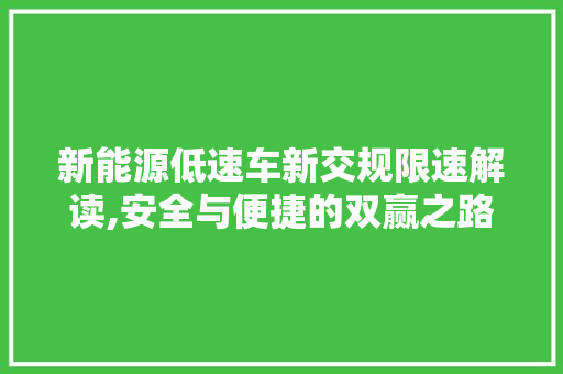 新能源低速车新交规限速解读,安全与便捷的双赢之路