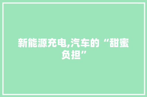 新能源充电,汽车的“甜蜜负担”