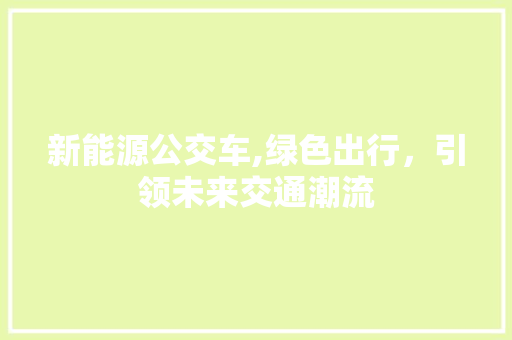 新能源公交车,绿色出行，引领未来交通潮流