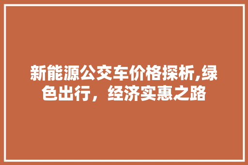 新能源公交车价格探析,绿色出行，经济实惠之路
