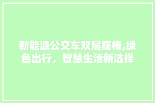 新能源公交车双层座椅,绿色出行，智慧生活新选择