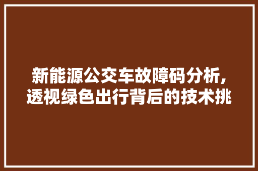 新能源公交车故障码分析,透视绿色出行背后的技术挑战