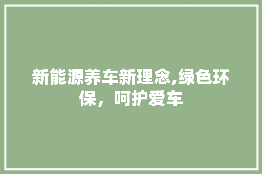 新能源养车新理念,绿色环保，呵护爱车