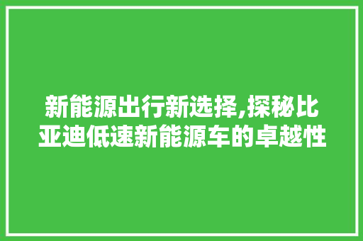 新能源出行新选择,探秘比亚迪低速新能源车的卓越性能与市场口碑