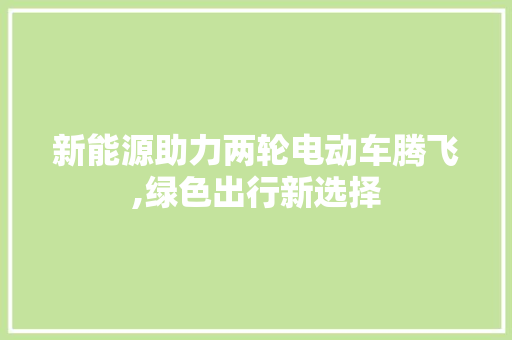 新能源助力两轮电动车腾飞,绿色出行新选择