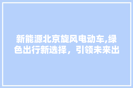 新能源北京旋风电动车,绿色出行新选择，引领未来出行潮流 车身配件