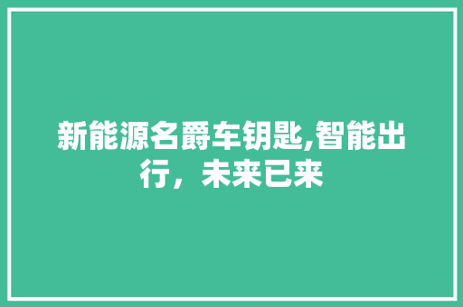 新能源名爵车钥匙,智能出行，未来已来