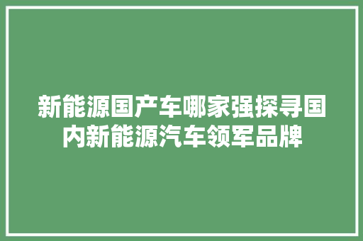 新能源国产车哪家强探寻国内新能源汽车领军品牌