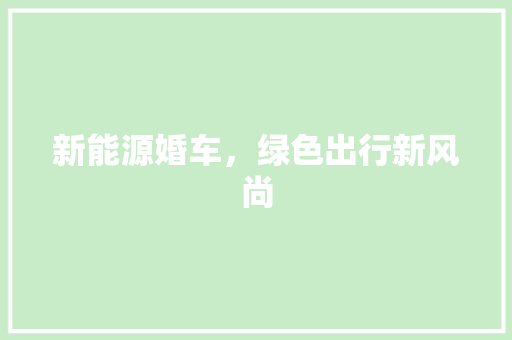 新能源婚车，绿色出行新风尚