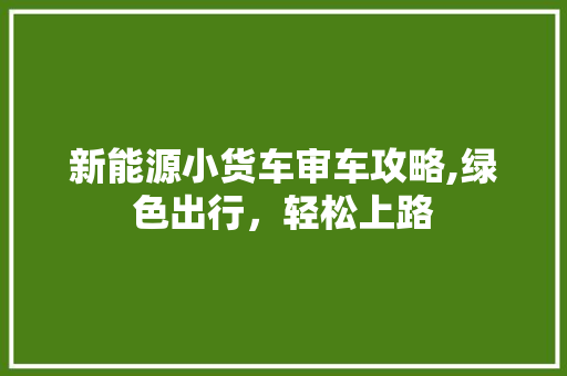 新能源小货车审车攻略,绿色出行，轻松上路