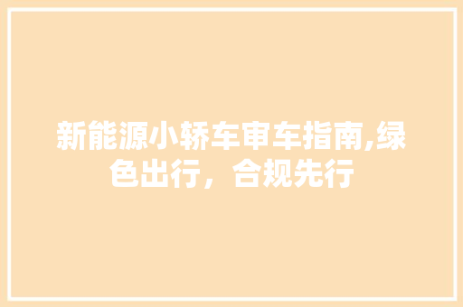 新能源小轿车审车指南,绿色出行，合规先行