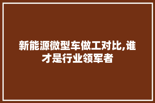 新能源微型车做工对比,谁才是行业领军者