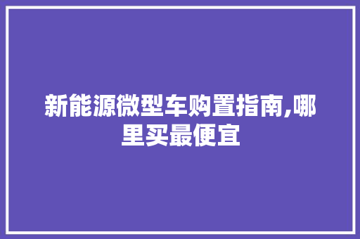 新能源微型车购置指南,哪里买最便宜