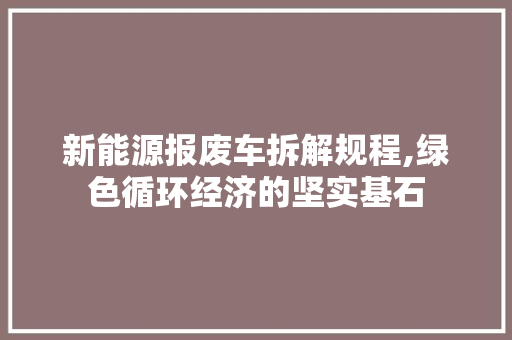 新能源报废车拆解规程,绿色循环经济的坚实基石 蓄电池配件
